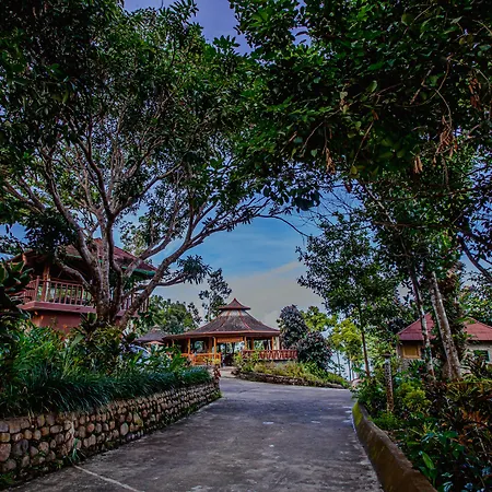 Atremaru Jungle Retreat-3