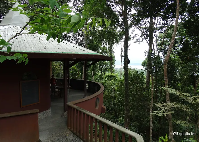 Atremaru Jungle Retreat Hotel Puerto Princesa